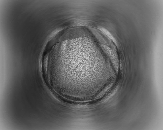X0000095940581200801251112