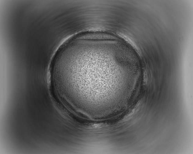 X0000095940584200801251112