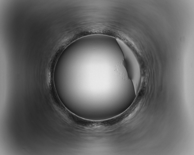 X0000095940589200801251111
