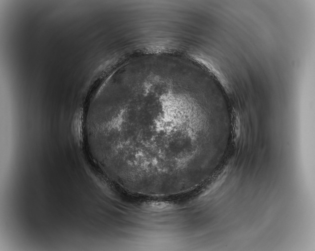 X0000095940590200801251111