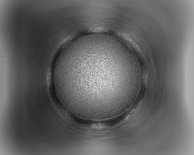 X0000095940591200801251111