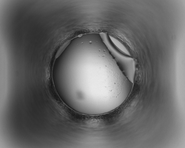 X0000095940593200801251111