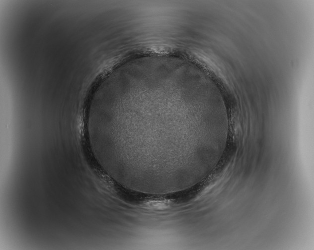 X0000095940595200801251111