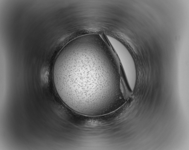 X0000095940596200801251111