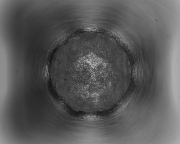 X0000095940598200801251111