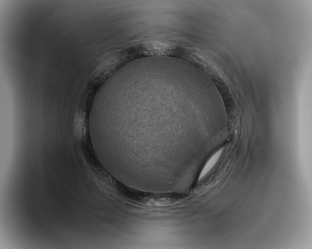 X0000095940599200801251111