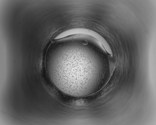 X0000095940600200801251111