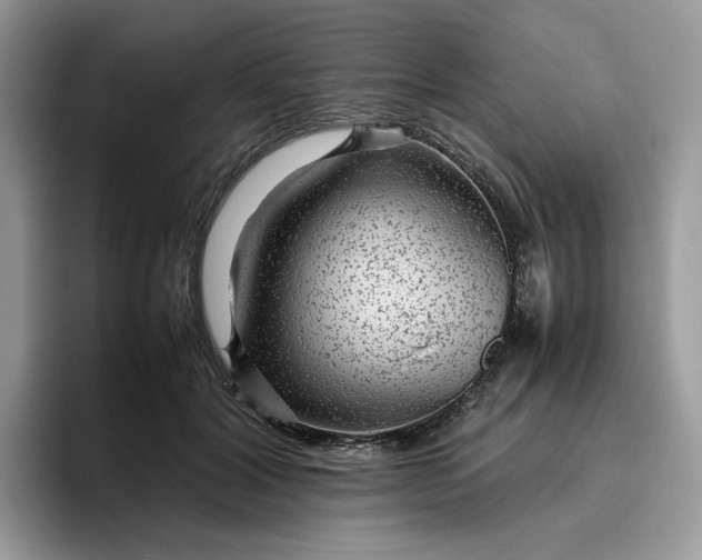 X0000095940604200801251111