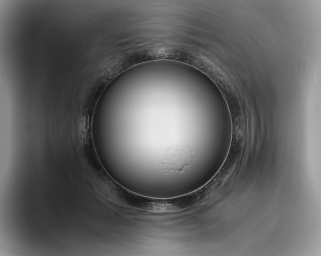 X0000095940605200801251111