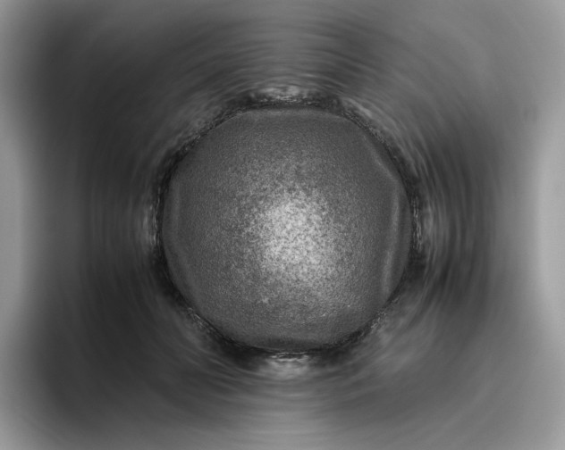 X0000095940606200801251111