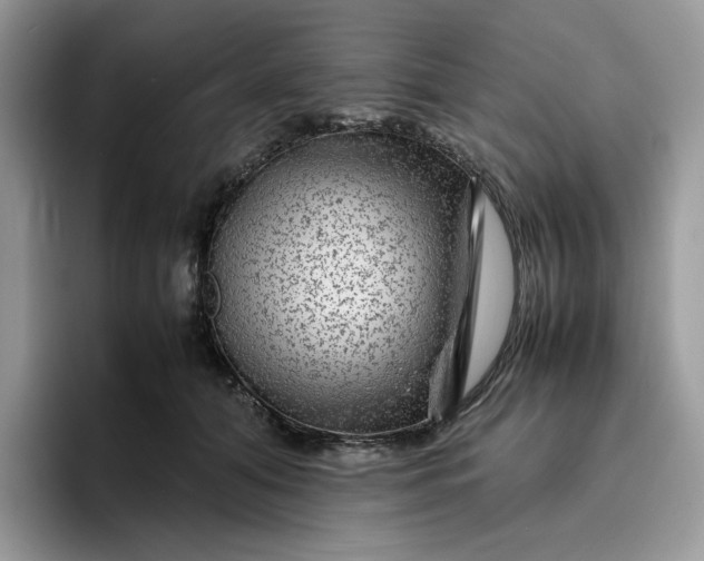 X0000095940608200801251111