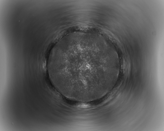 X0000095940610200801251111