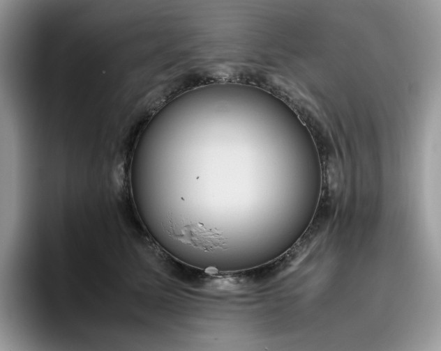 X0000095940611200801251111