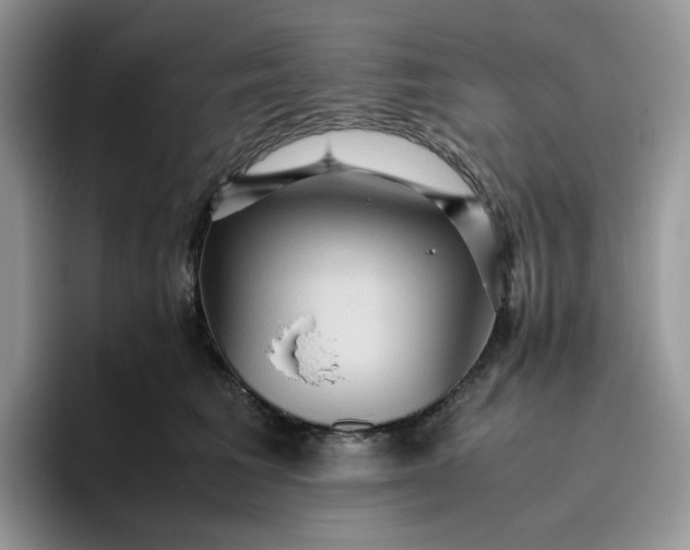 X0000095940613200801251111