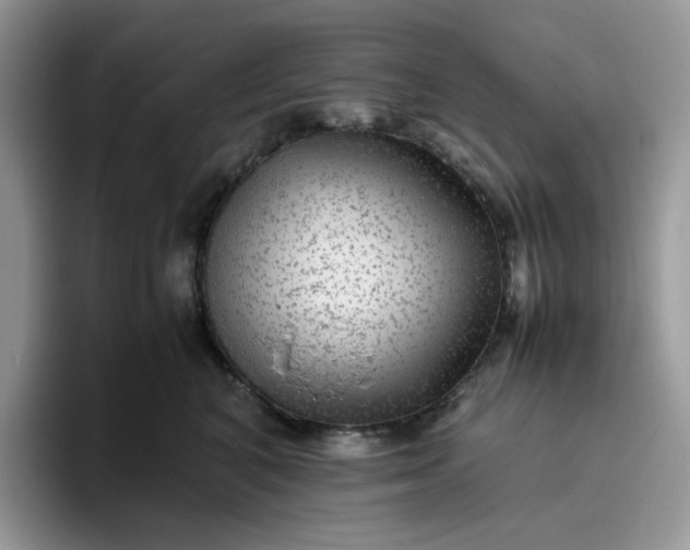 X0000095940616200801251111