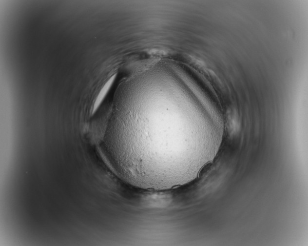 X0000095940619200801251111