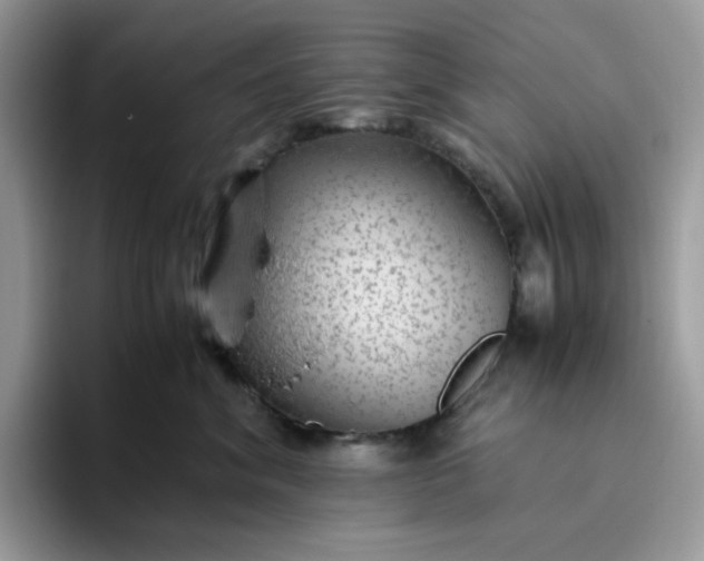 X0000095940620200801251111