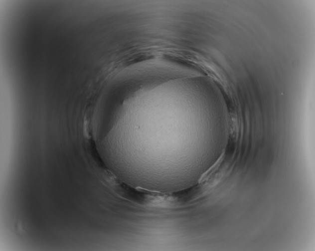 X0000095940621200801251111