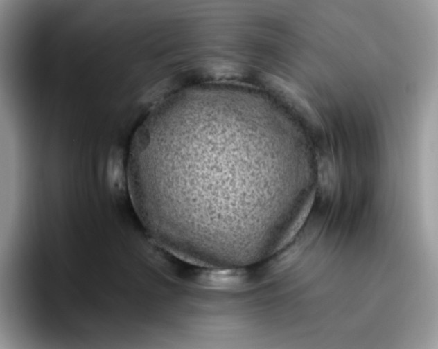 X0000095940622200801251111