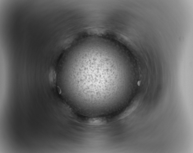 X0000095940624200801251111