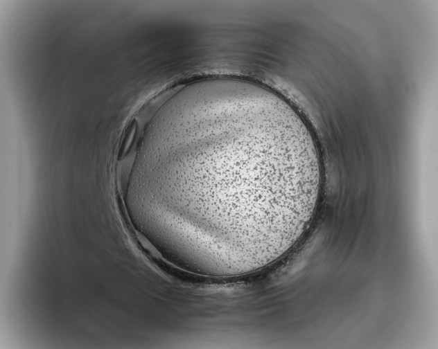 X0000095940625200801251110