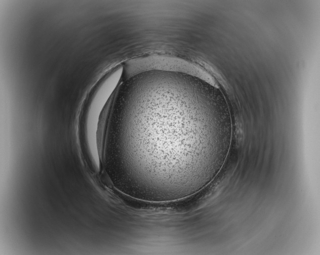 X0000095940626200801251110
