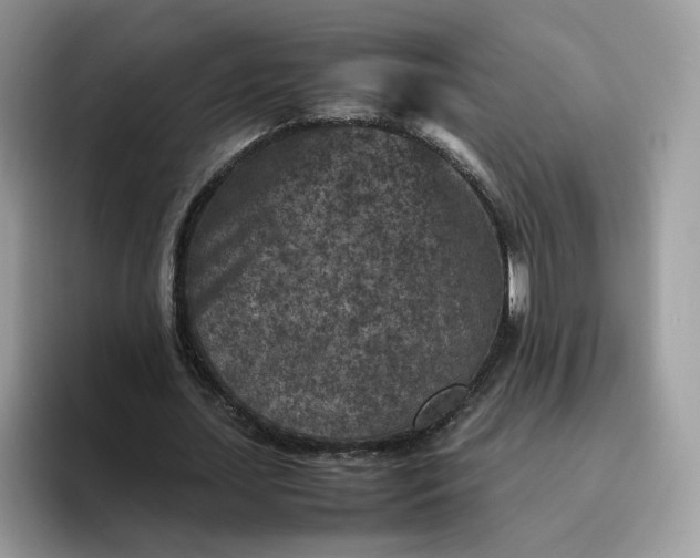 X0000095940627200801251110