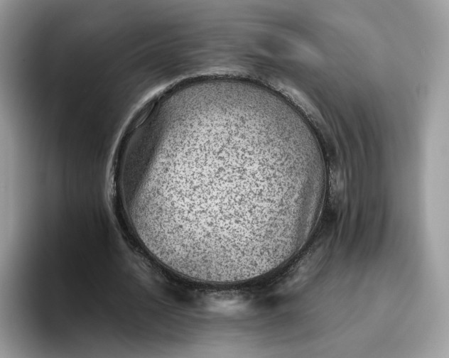 X0000095940628200801251110