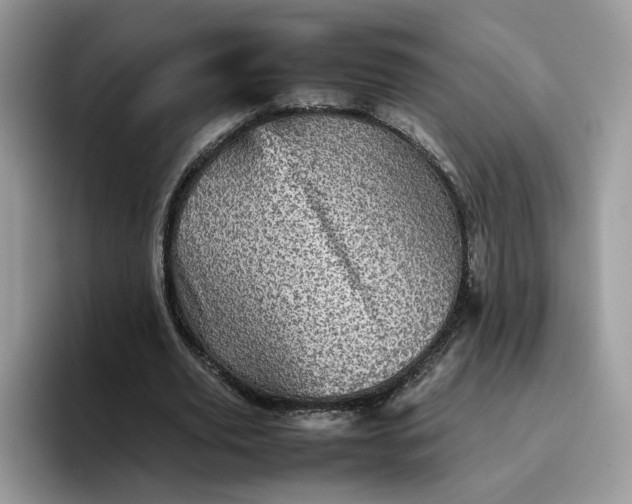 X0000095940629200801251110