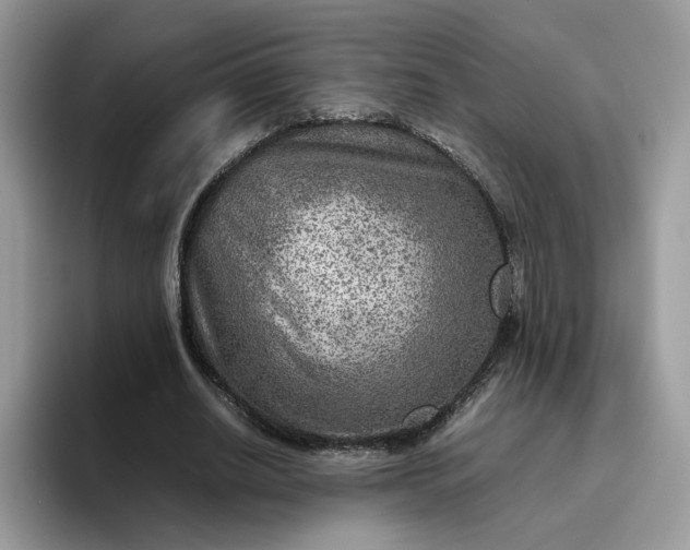 X0000095940630200801251110
