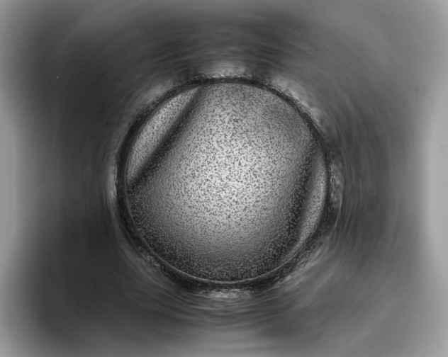 X0000095940631200801251110