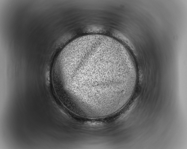 X0000095940633200801251110