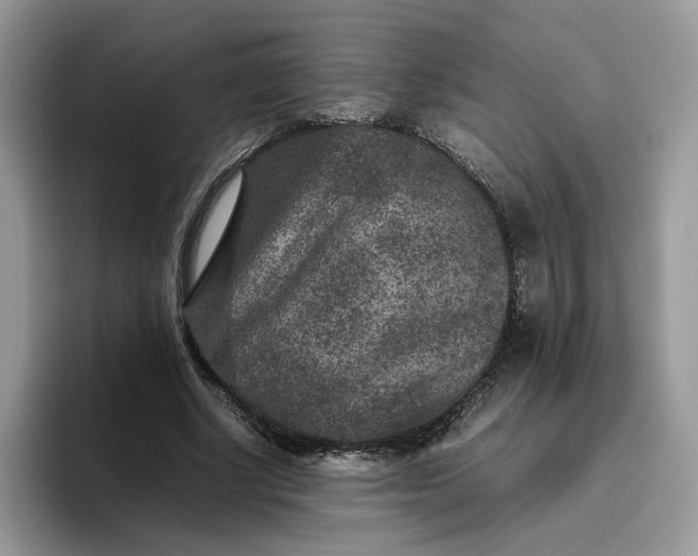 X0000095940634200801251111
