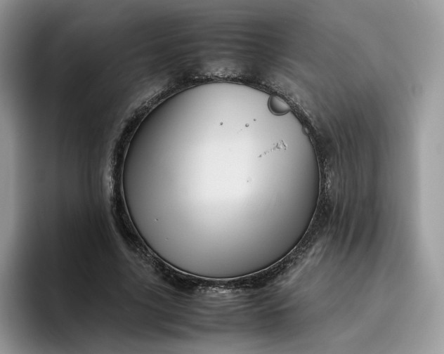 X0000095940635200801251111