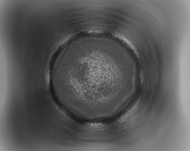 X0000095940637200801251111
