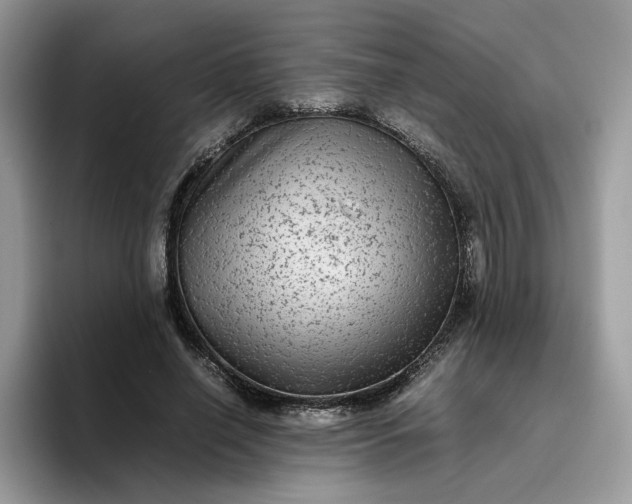X0000095940638200801251111