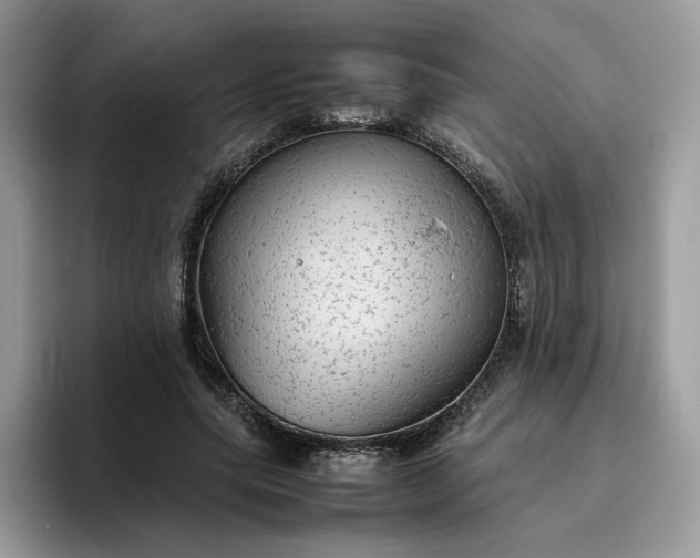 X0000095940639200801251111