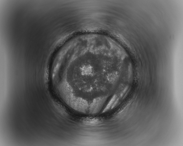 X0000095940640200801251111