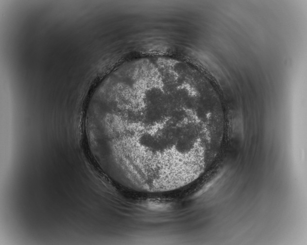 X0000095940641200801251111