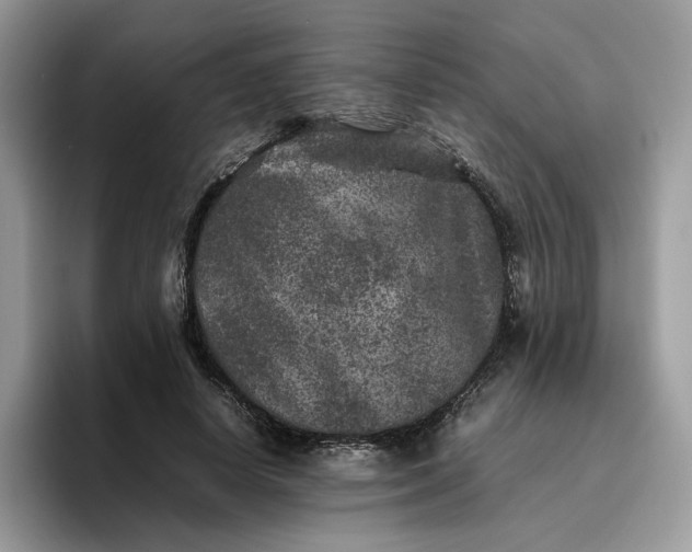 X0000095940642200801251111