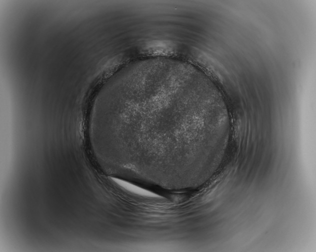 X0000095940643200801251111