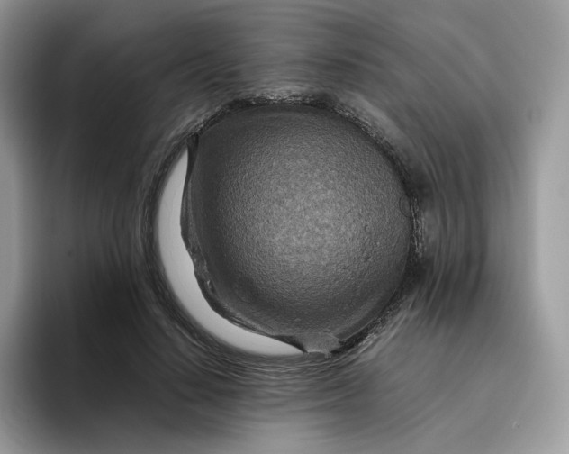 X0000095940644200801251111