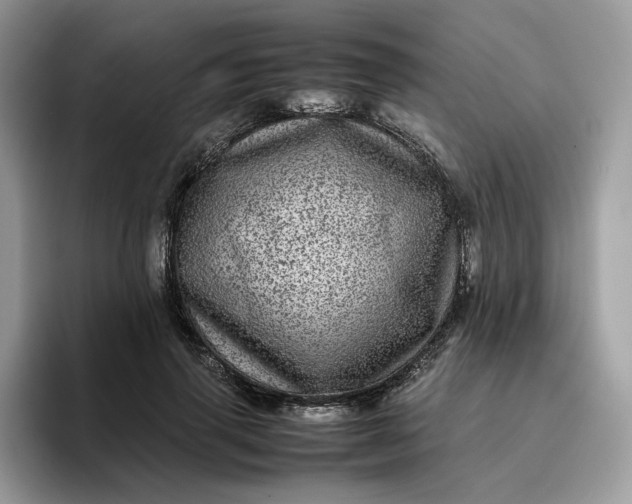 X0000095940645200801251111