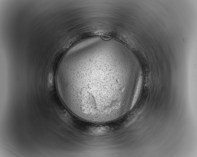 X0000095940646200801251111