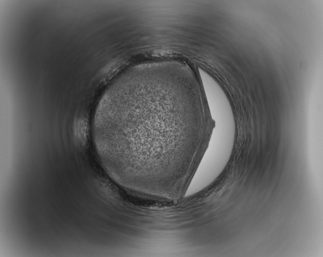 X0000095940648200801251111