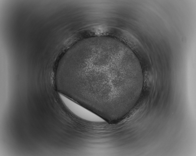 X0000095940650200801251111