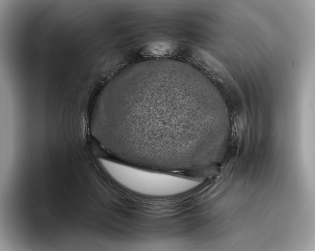 X0000095940651200801251111