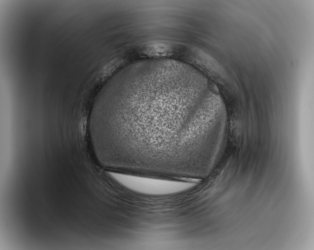 X0000095940652200801251111