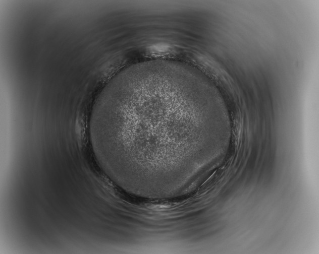 X0000095940653200801251111