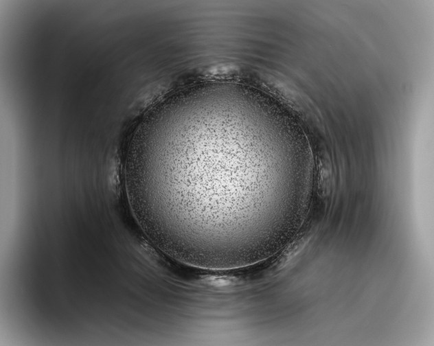 X0000095940654200801251111